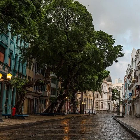 Mit einem Sammeltransfer zwischen Flughafen und Hotel in Recife fahren