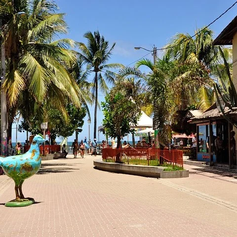 Cinco horas junto al mar en Porto de Galinhas