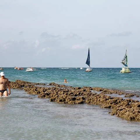 Découvrez Porto de Galinhas lors d’une excursion depuis Recife