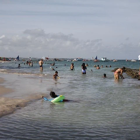 Découvrez Porto de Galinhas lors d’une excursion depuis Recife