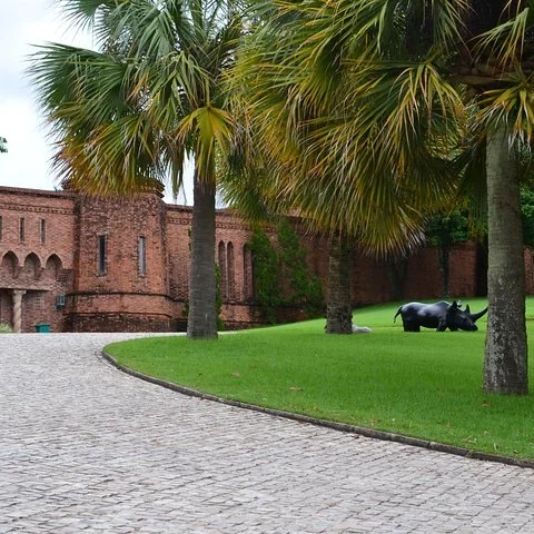 Recife, Olinda and art on one private day trip