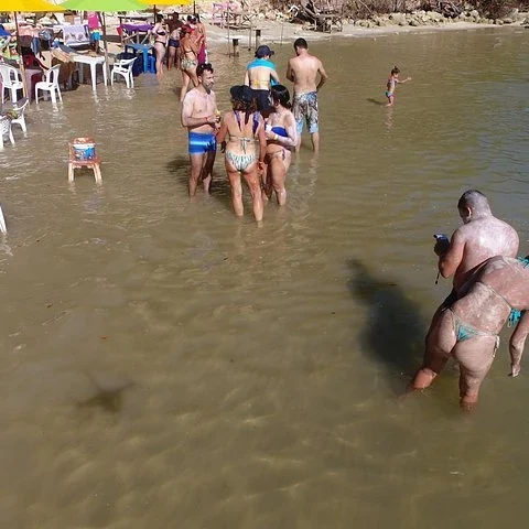 Rejoignez Tamandaré depuis Recife avec un transfert privé réservé