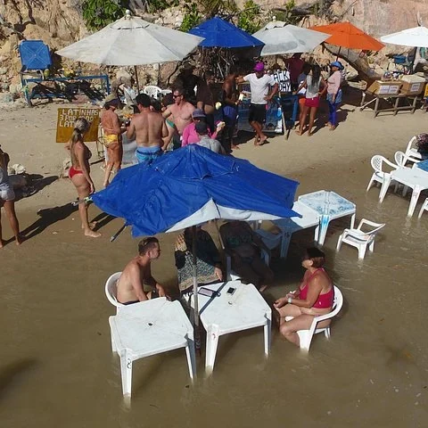 Rejoignez Tamandaré depuis Recife avec un transfert privé réservé