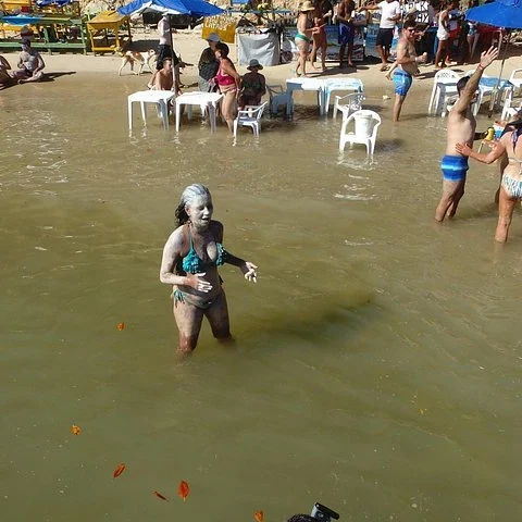 Rejoignez Tamandaré depuis Recife avec un transfert privé réservé