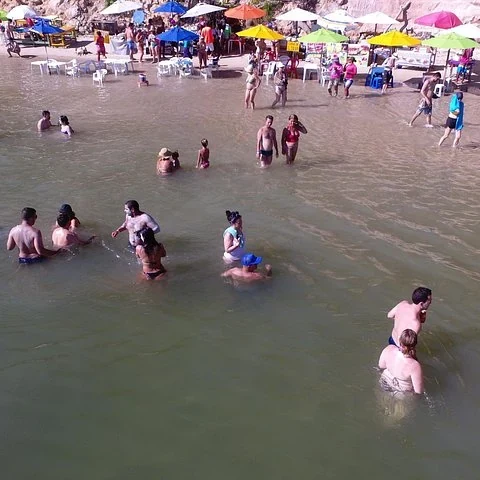 Rejoignez Tamandaré depuis Recife avec un transfert privé réservé