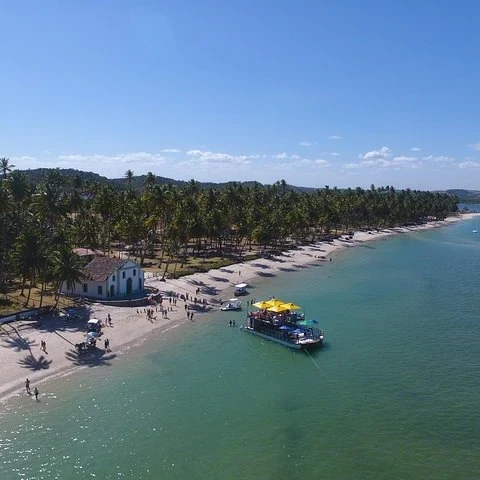 Rejoignez Tamandaré depuis Recife avec un transfert privé réservé