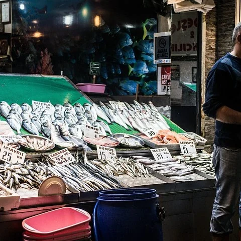 Saborea tres barrios de Estambul junto al Bósforo