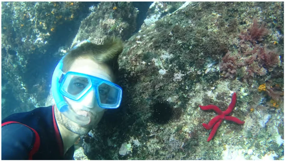Kayak y snorkel en La Herradura por Cerro Gordo