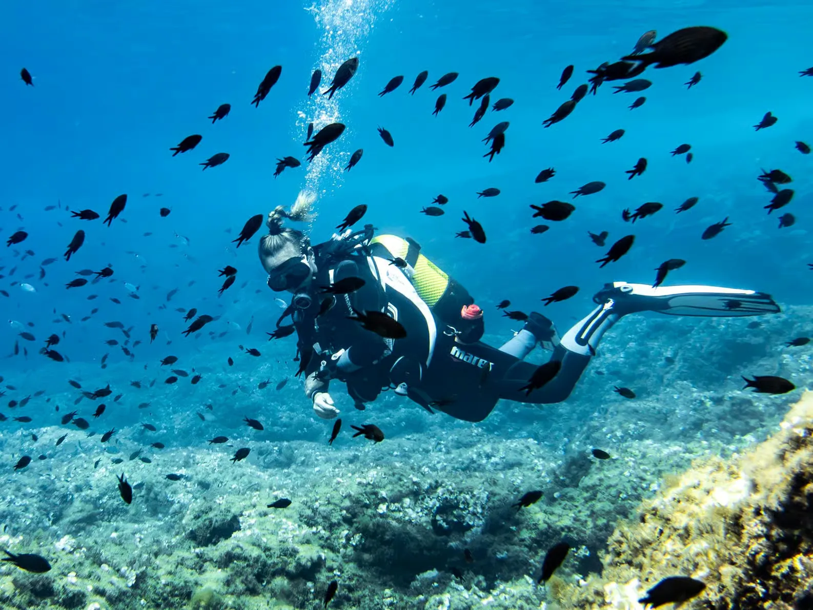 Buceo para principiantes en Alcúdia y snorkel en Mallorca