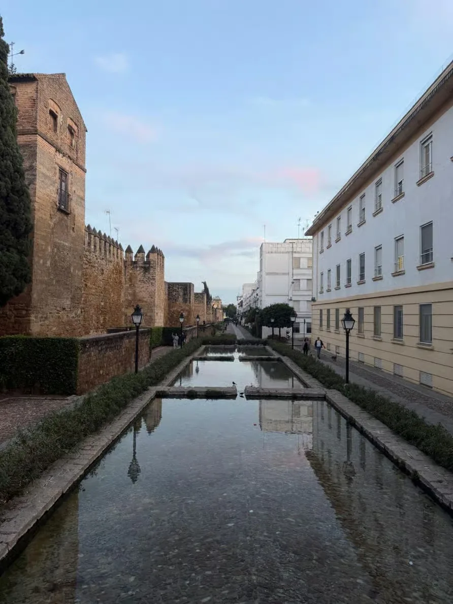 Visite des patios, du quartier juif et de la synagogue de Cordoue