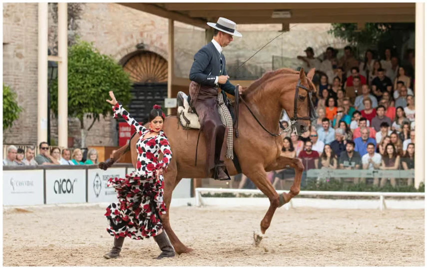 Spectacle équestre à Cordoue : entrée aux Écuries royales
