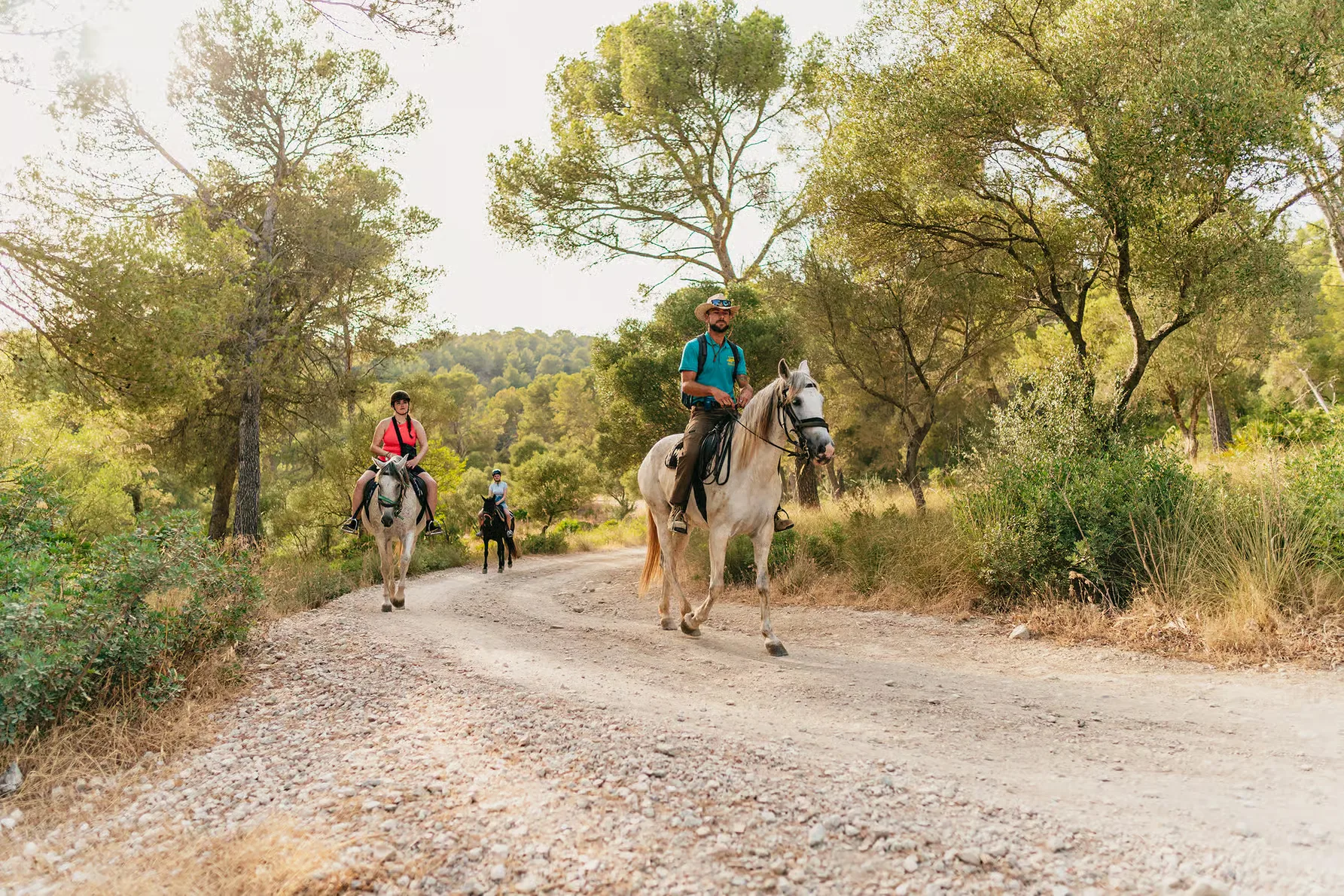 Horse riding in Alcudia Mallorca through quiet countryside