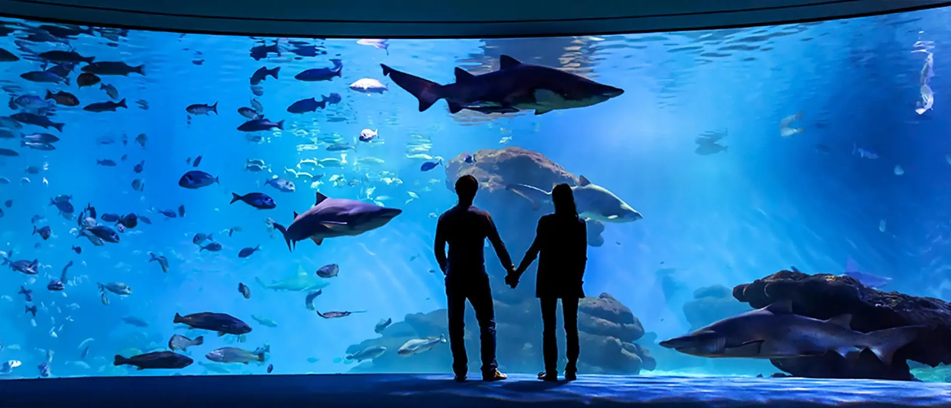 Palma Aquarium ticket Mallorca