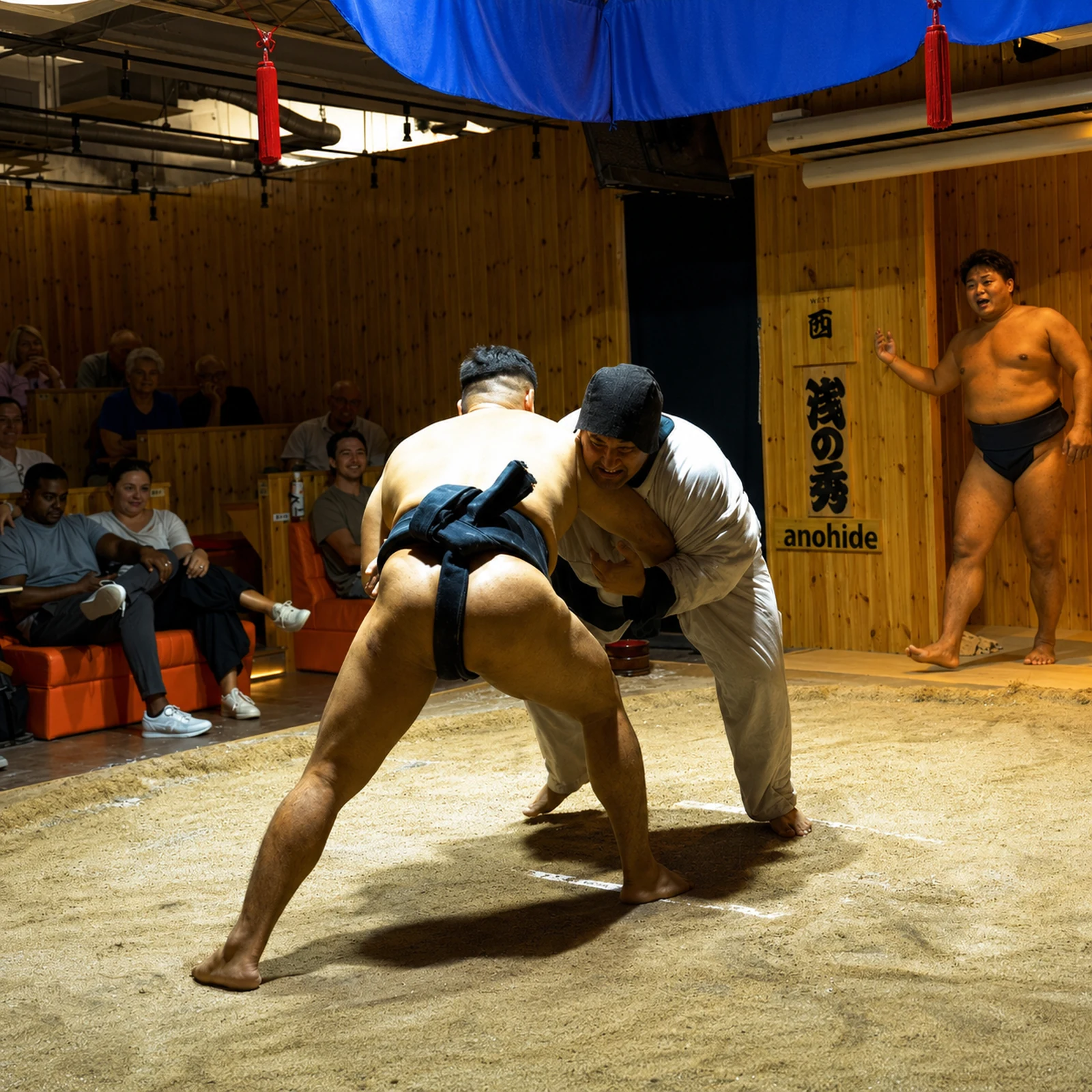 Espectáculo de sumo en Tokio con hot pot japonés y geisha