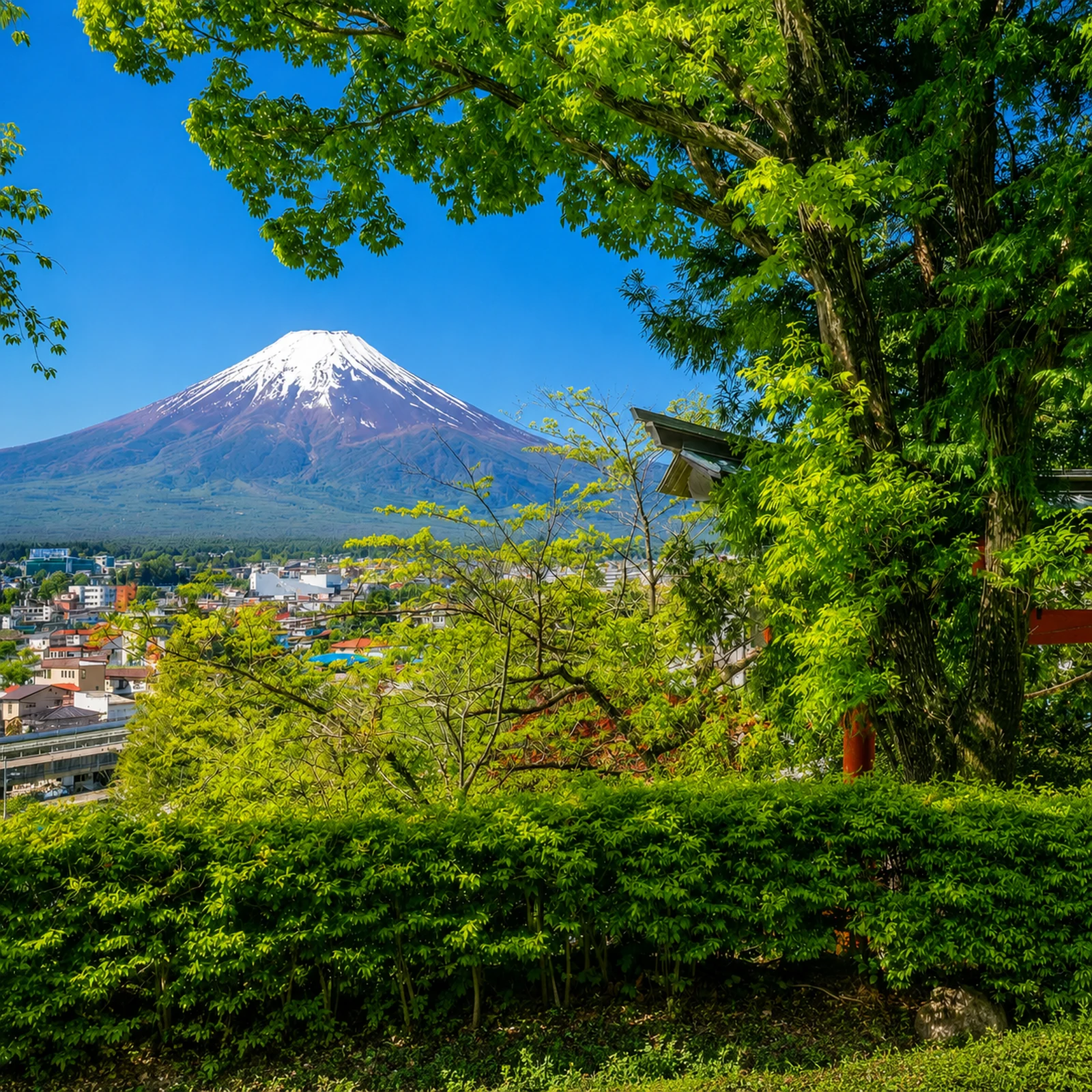 Excursion mont Fuji depuis Tokyo avec Oishi Park, lac Kawaguchi et Oshino Hakkai