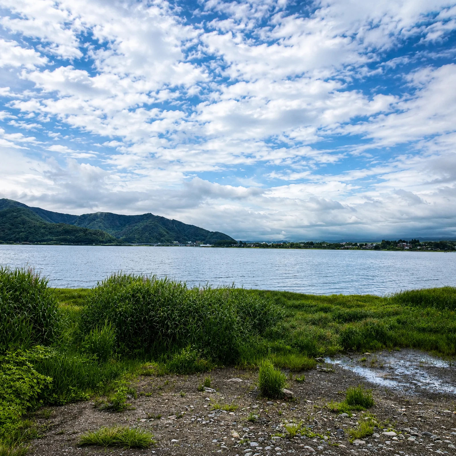 Mount Fuji tour from Tokyo with 6 photo stops