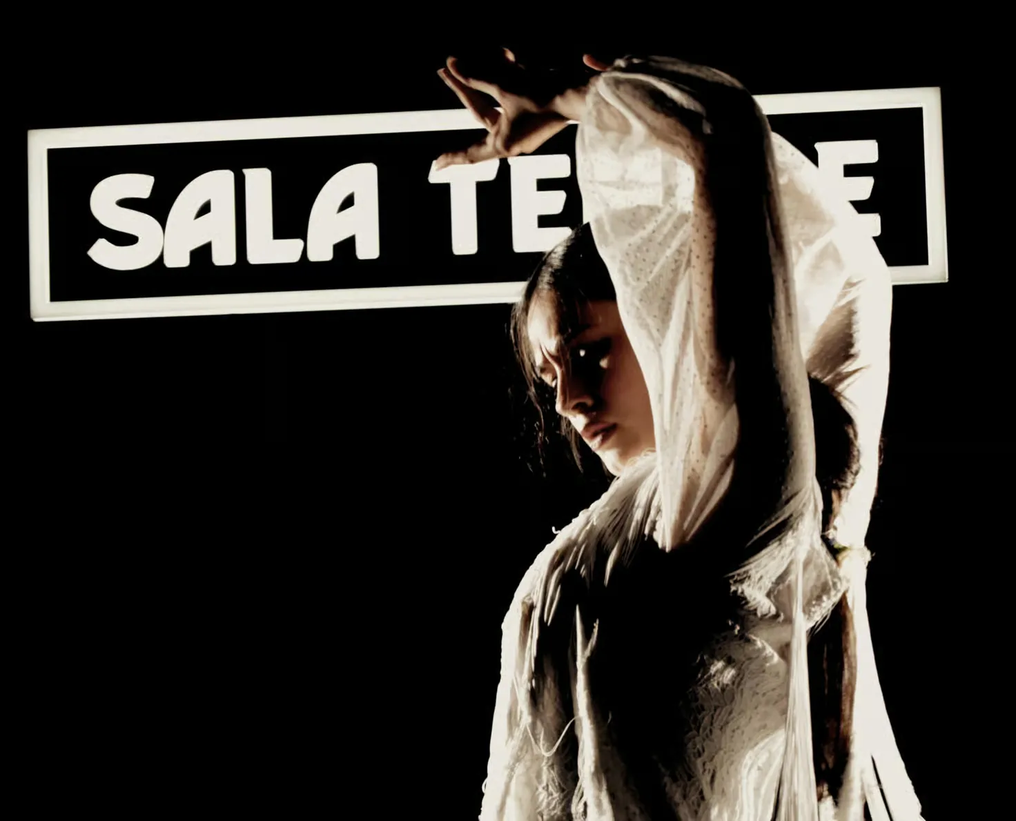 Espectáculo flamenco Sala Temple Madrid con bebida