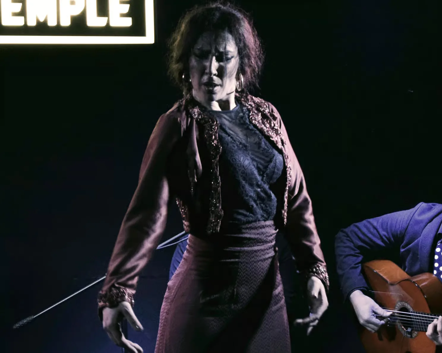 Espectáculo flamenco Sala Temple Madrid en un tablao íntimo