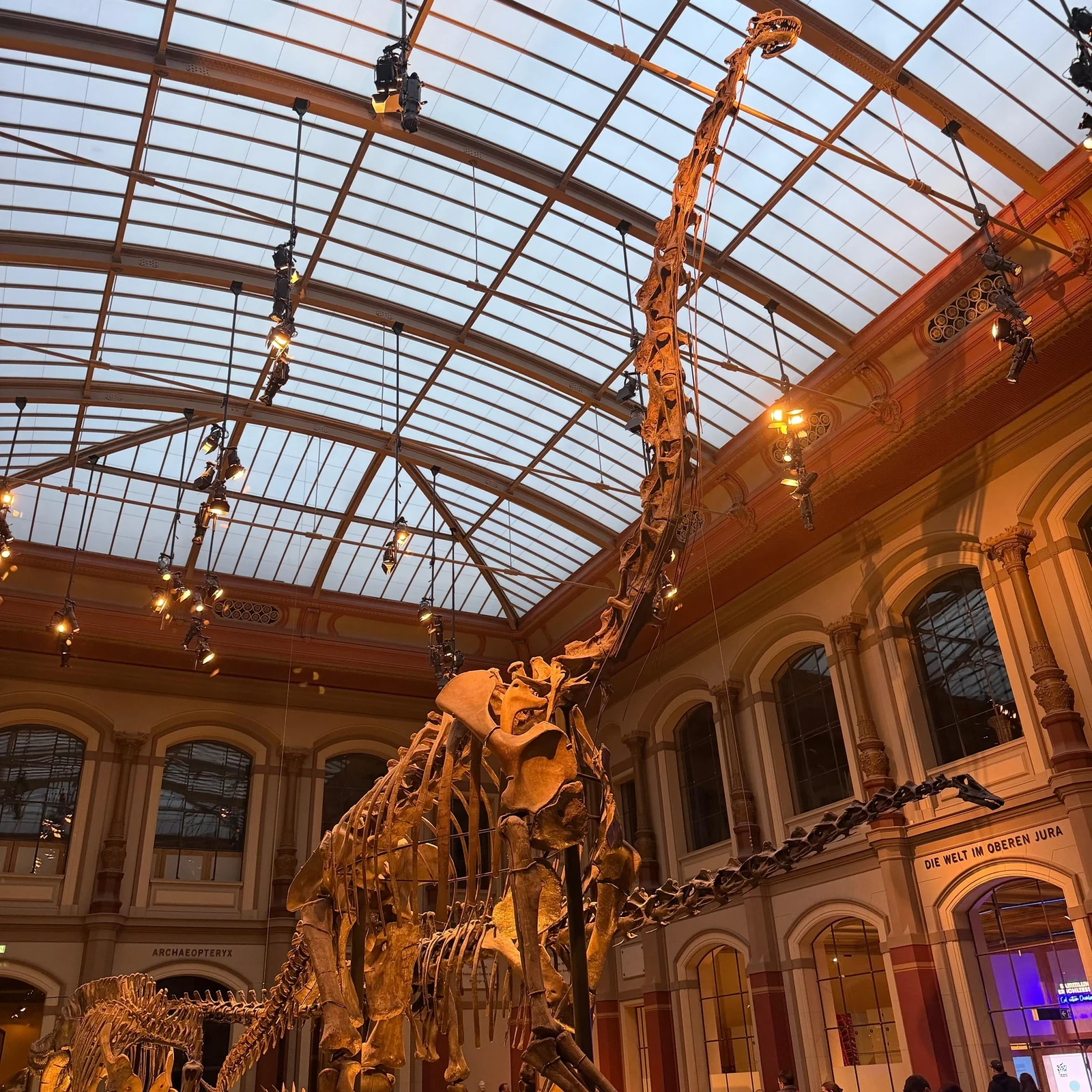 Eintrittskarte Naturkundemuseum Berlin: Dinosaurier, Fossilien und Biodiversität