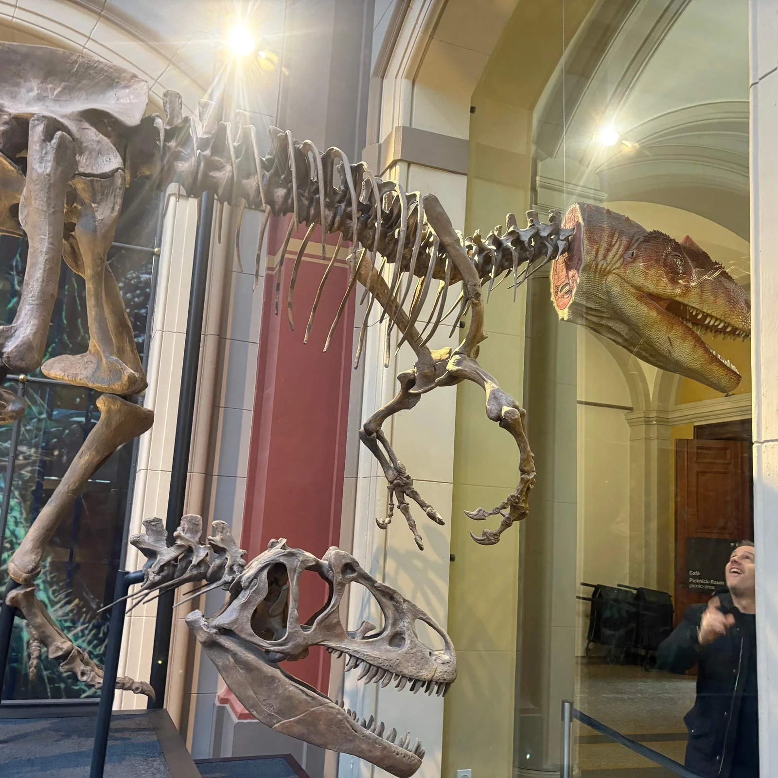 Eintrittskarte Naturkundemuseum Berlin: Dinosaurier, Fossilien und Biodiversität