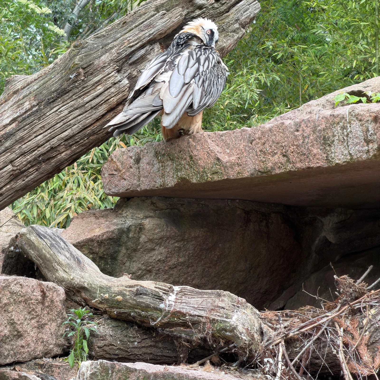 Tierpark Berlin Tickets