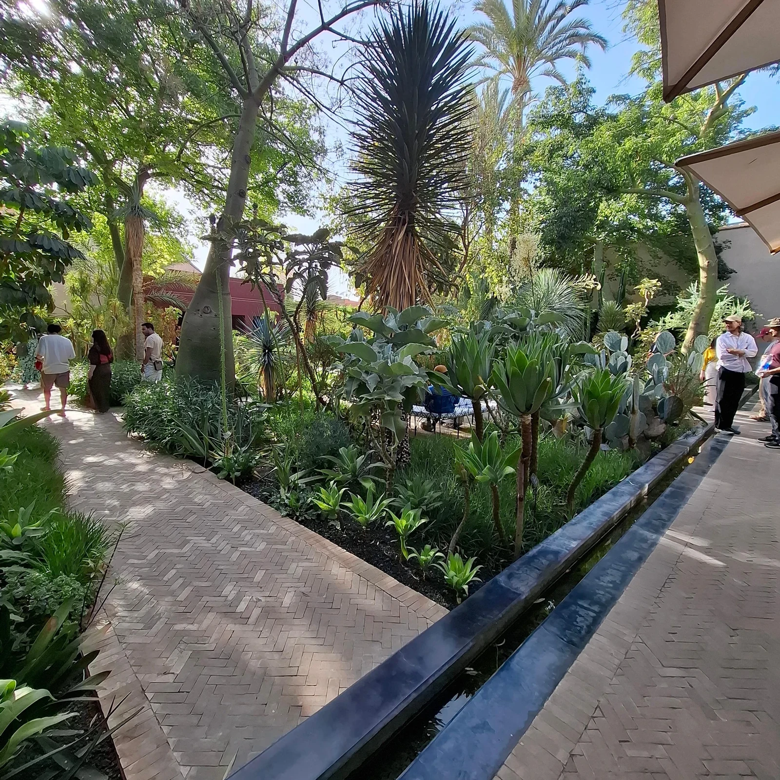 Visite Ben Youssef, Jardin Secret et souks de Marrakech avec guide local