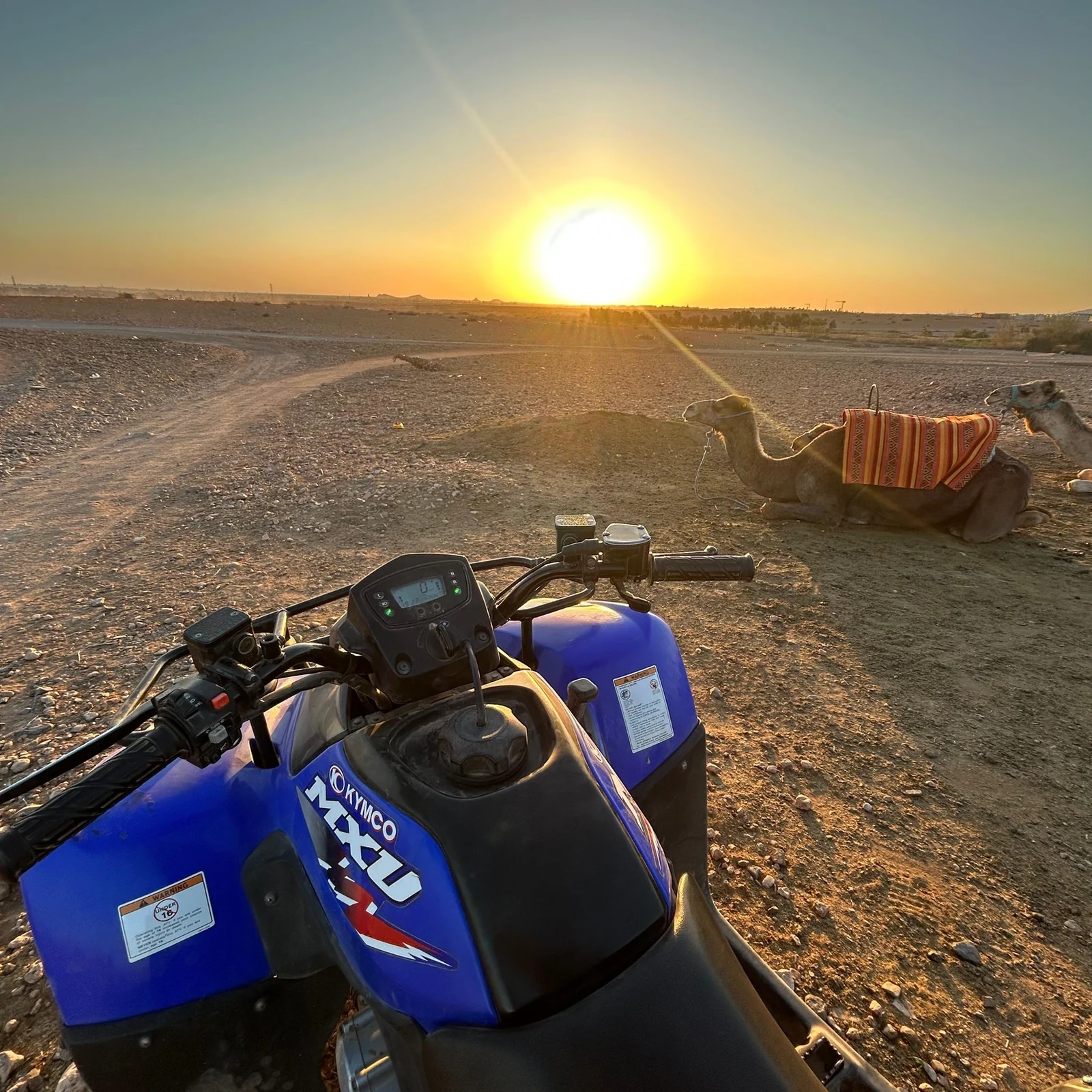 Excursion en quad Marrakech dans la Palmeraie et le désert de Jbilat : faut-il réserver ?