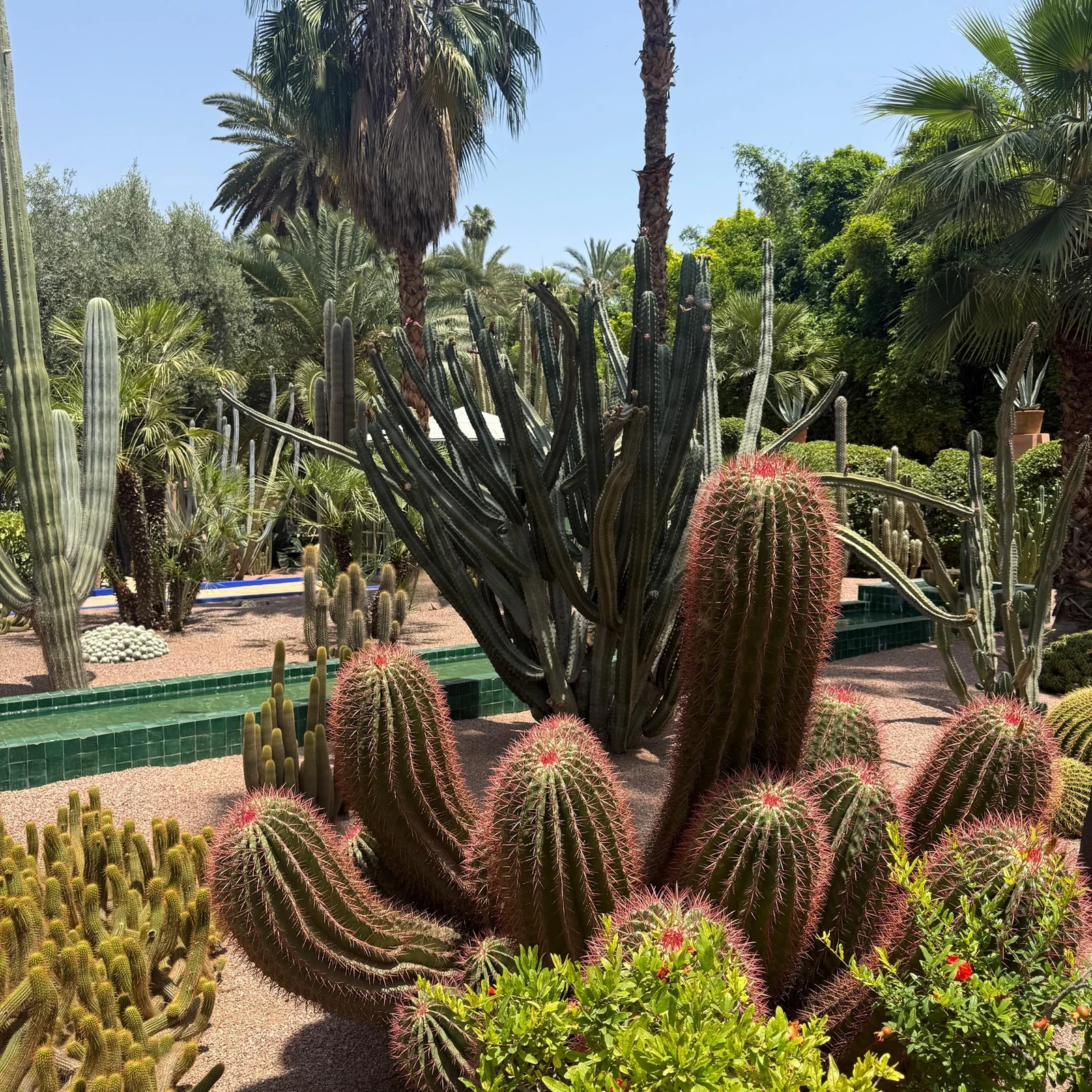 Billet Jardin Majorelle, Musée Yves Saint Laurent et Musée berbère à Marrakech