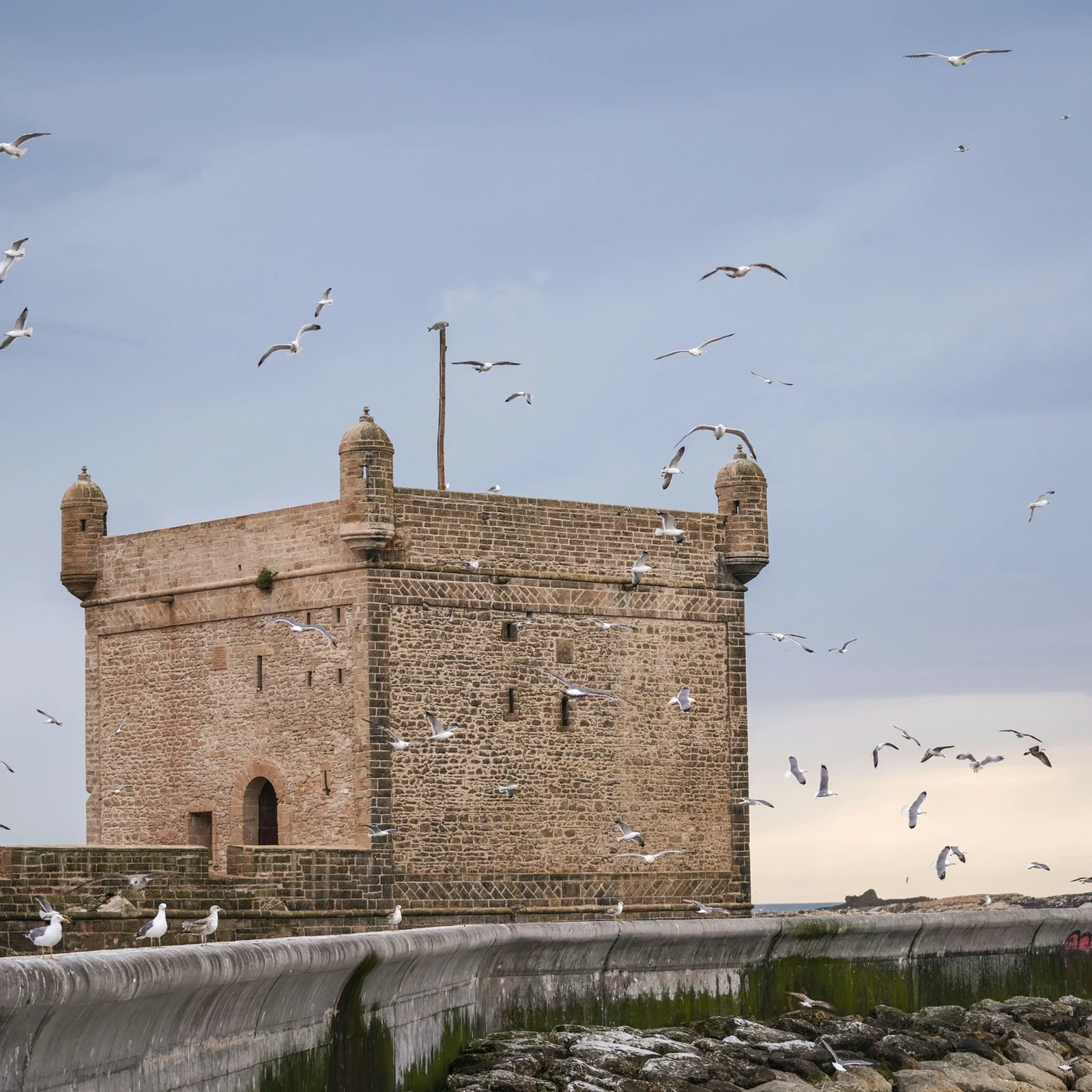 Excursion à Essaouira depuis Marrakech avec déjeuner