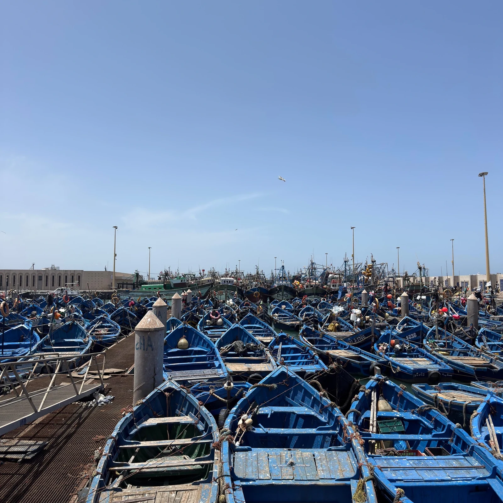 Excursion à Essaouira depuis Marrakech : une journée sur la côte atlantique