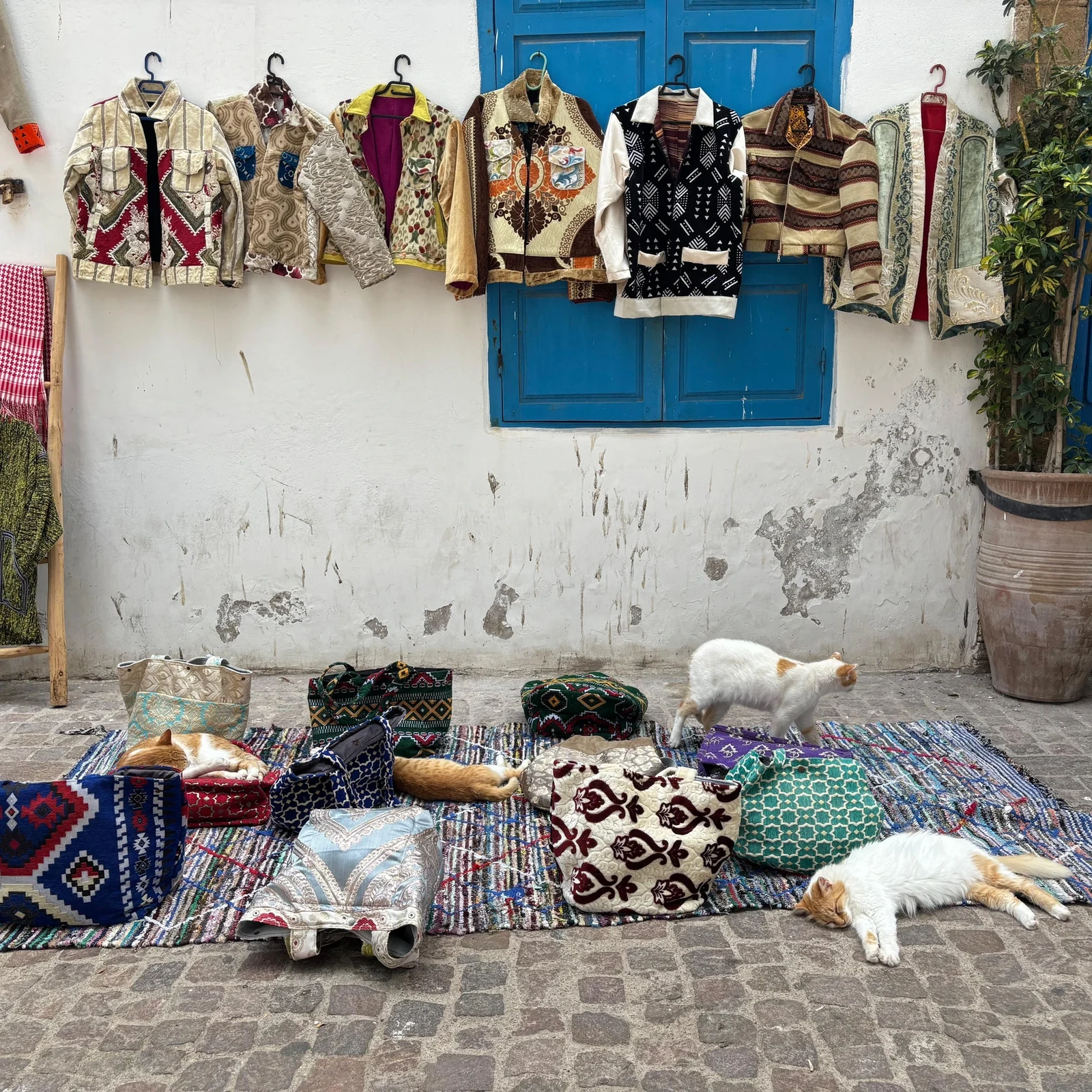 Excursion à Essaouira depuis Marrakech : une journée sur la côte atlantique