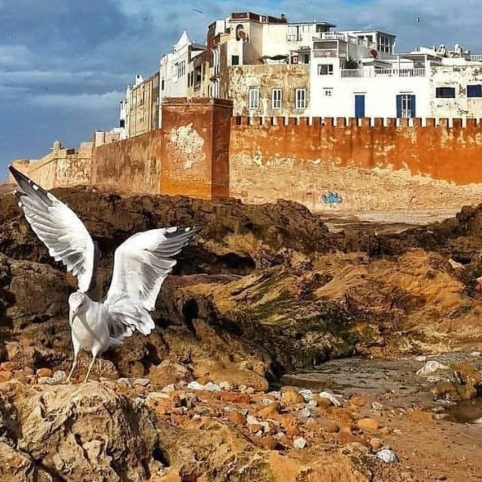 Excursion à Essaouira depuis Marrakech avec plage, médina et remparts : faut-il réserver ?