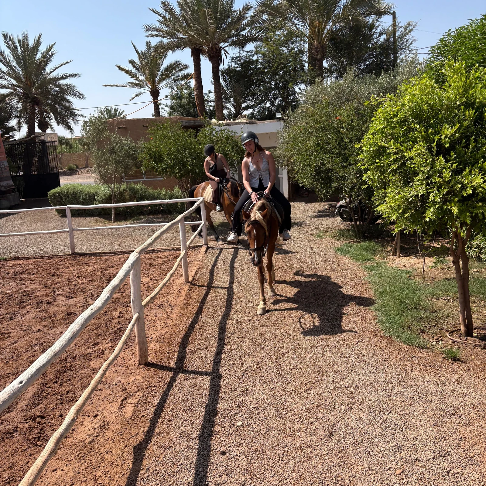 Balade à cheval dans la Palmeraie de Marrakech