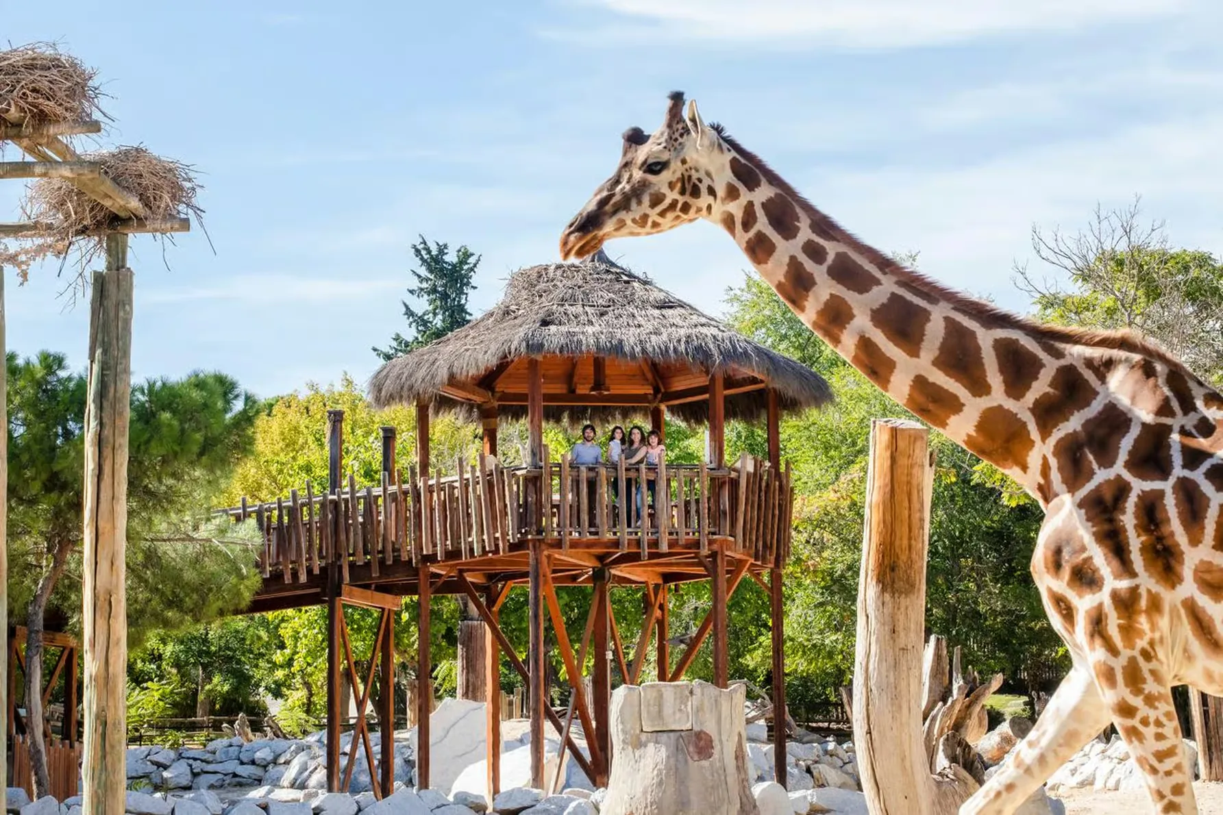 Madrid : billet pour le Zoo Aquarium de Madrid