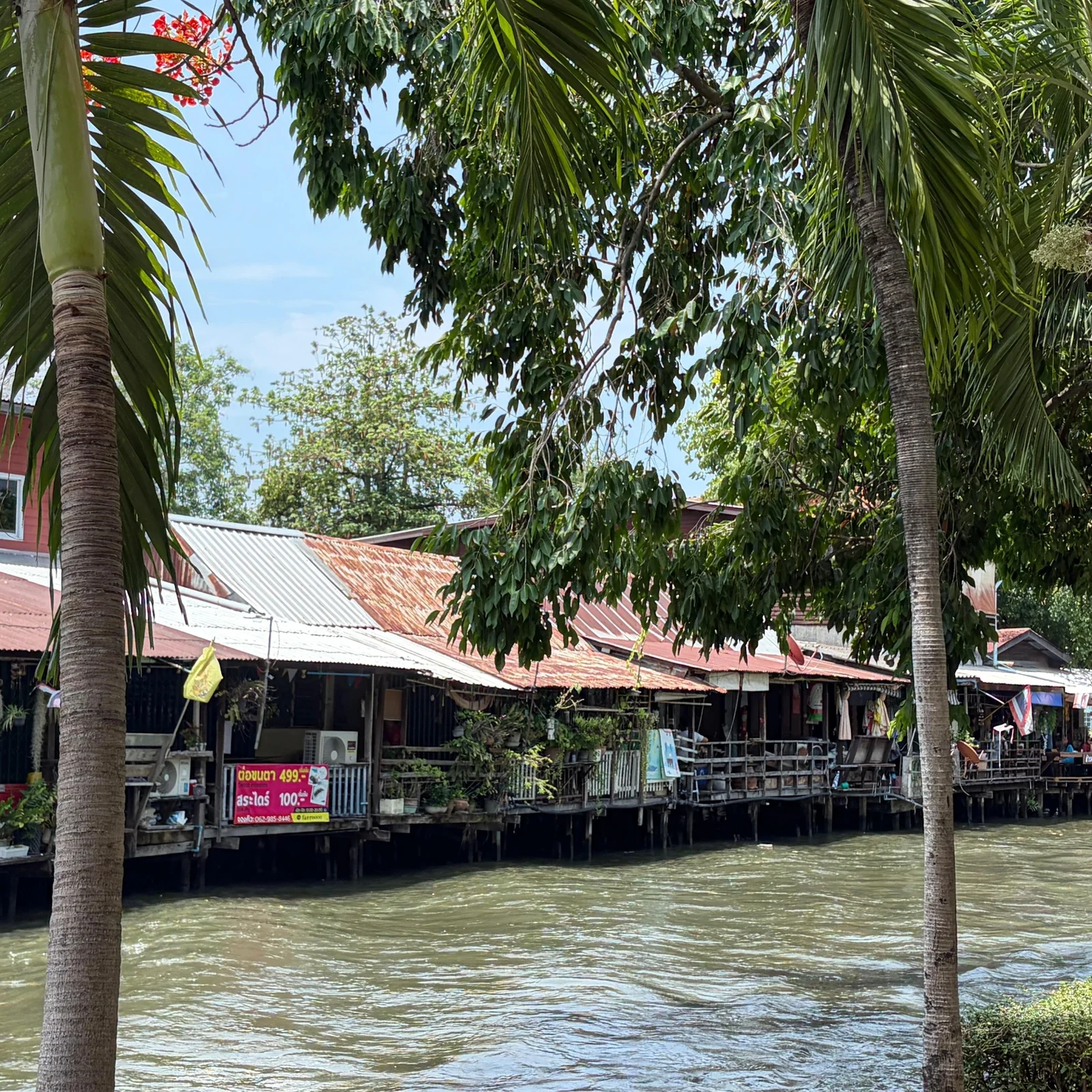 Tour en bicicleta por Bangkok entre templos, canales y vida local