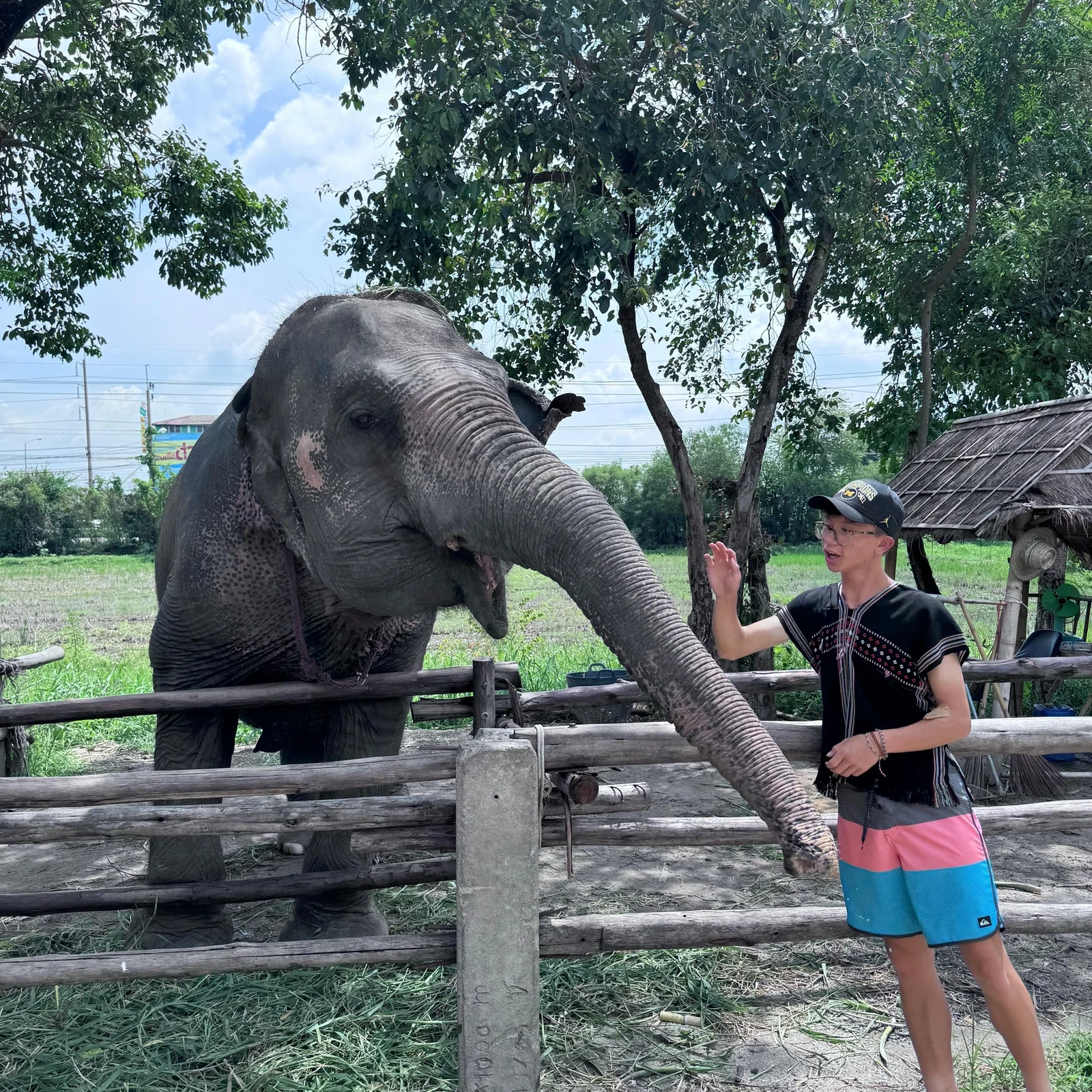Expérience éthique avec éléphants Bangkok | Bangkok Elephant Park