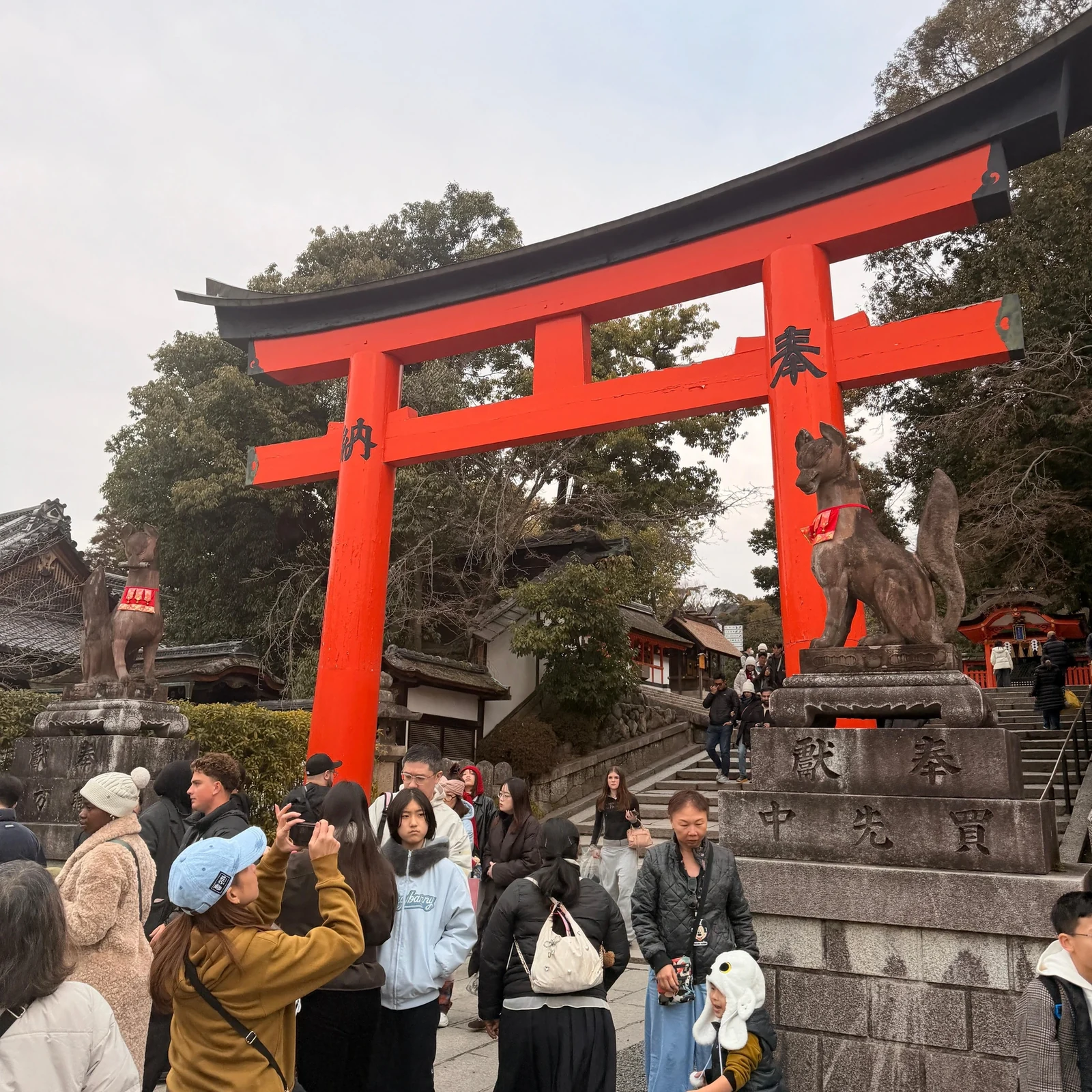 Visite privée de Kyoto en véhicule de luxe | Parcours sur mesure