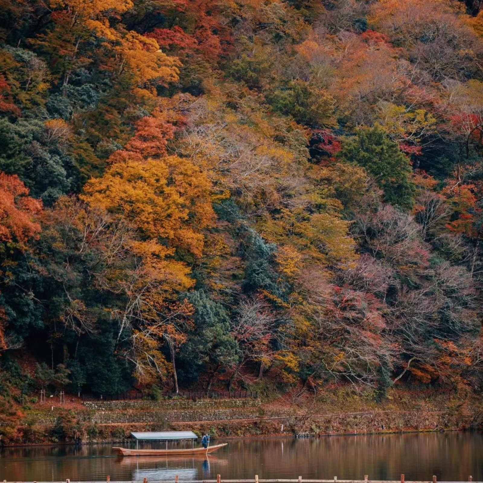 Excursion Arashiyama parc de Nara Fushimi Inari depuis Kyoto