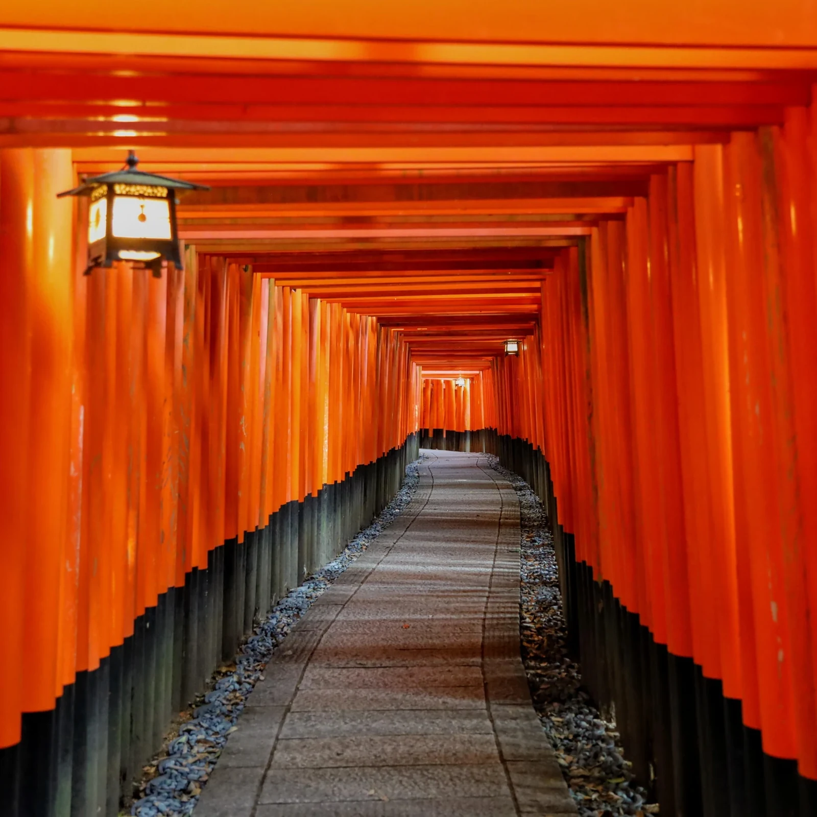 Tour Kyoto Fushimi Inari, Kinkakuji et forêt de bambous : cette visite d’une journée vaut-elle la peine ?