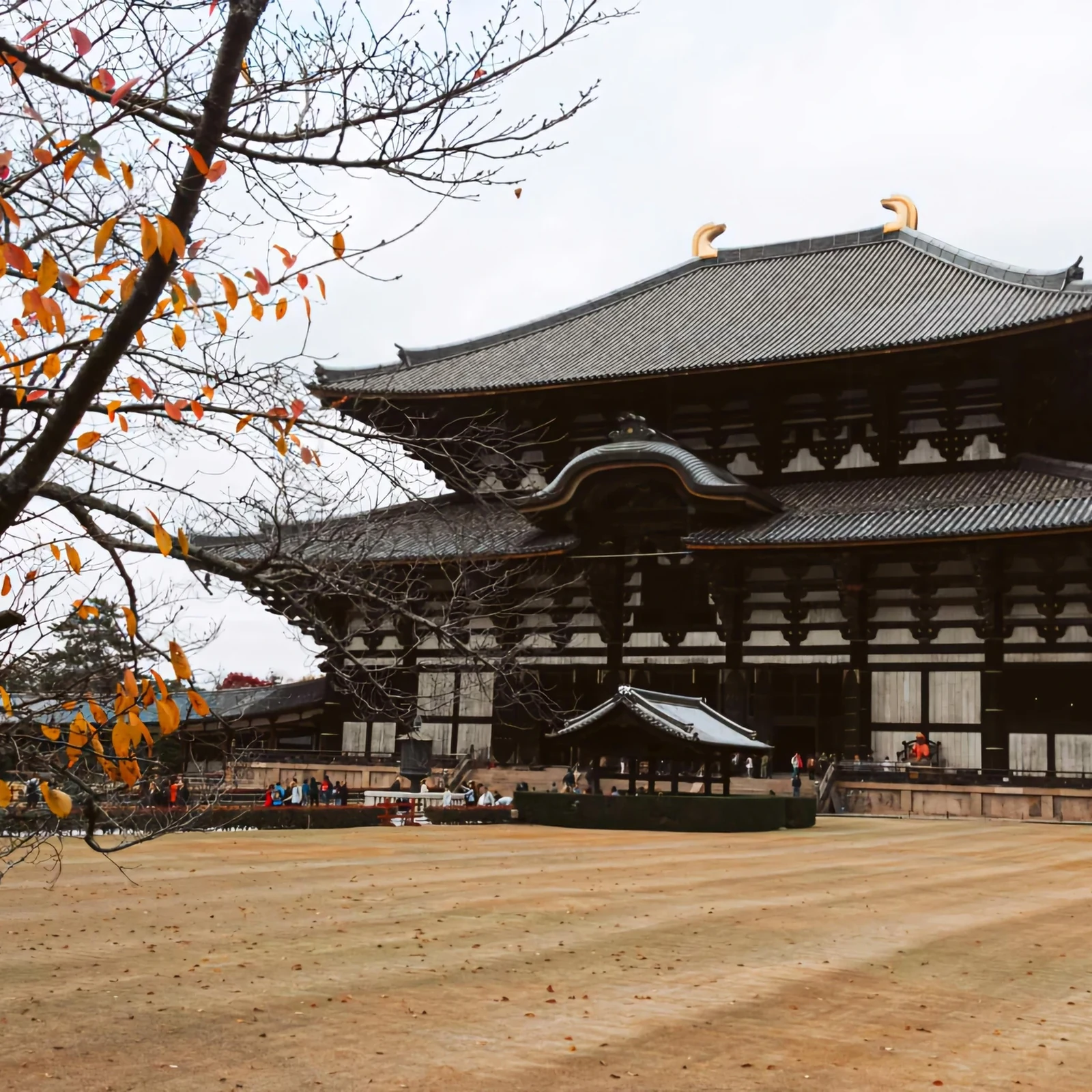 Private Kyoto, Nara or Osaka day trip from Osaka, your way