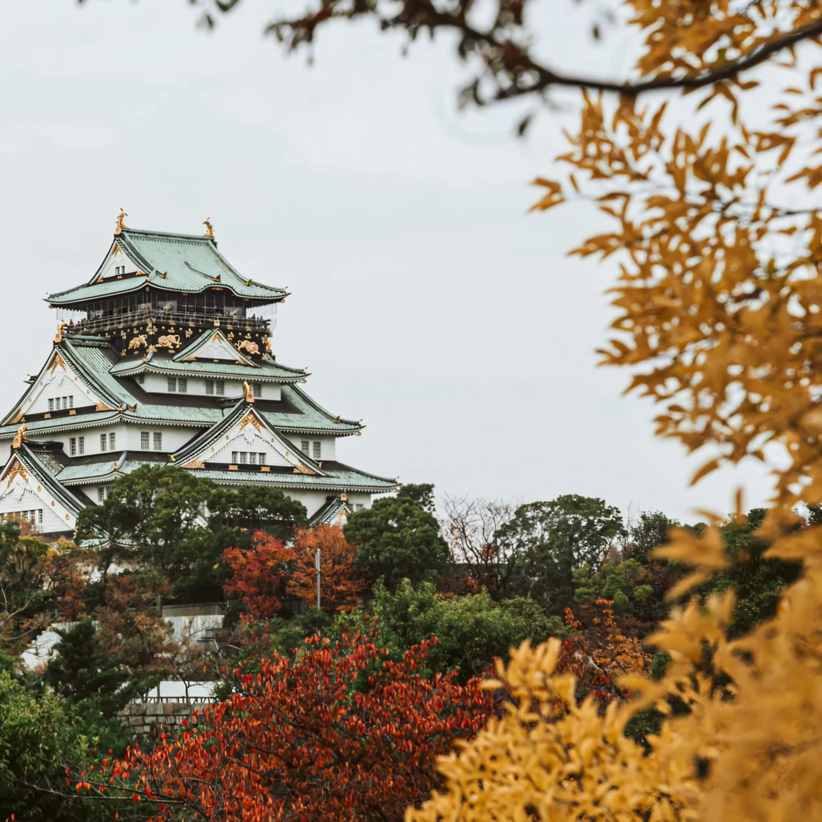 Private Kyoto, Nara or Osaka day trip from Osaka, your way