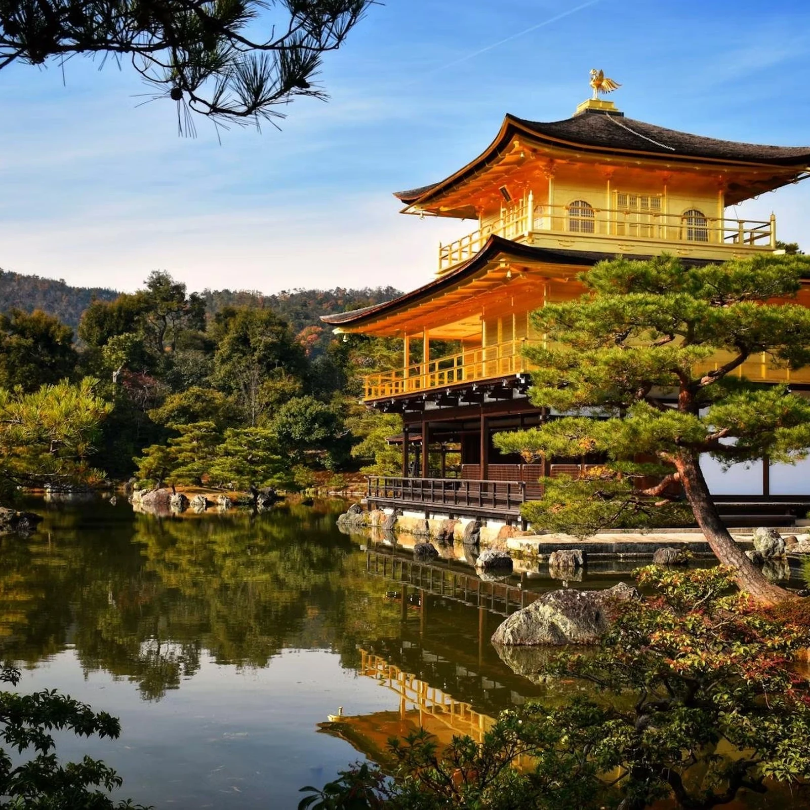 Visite guidée Arashiyama, forêt de bambous et Kinkaku-ji à Kyoto : avis et réservation