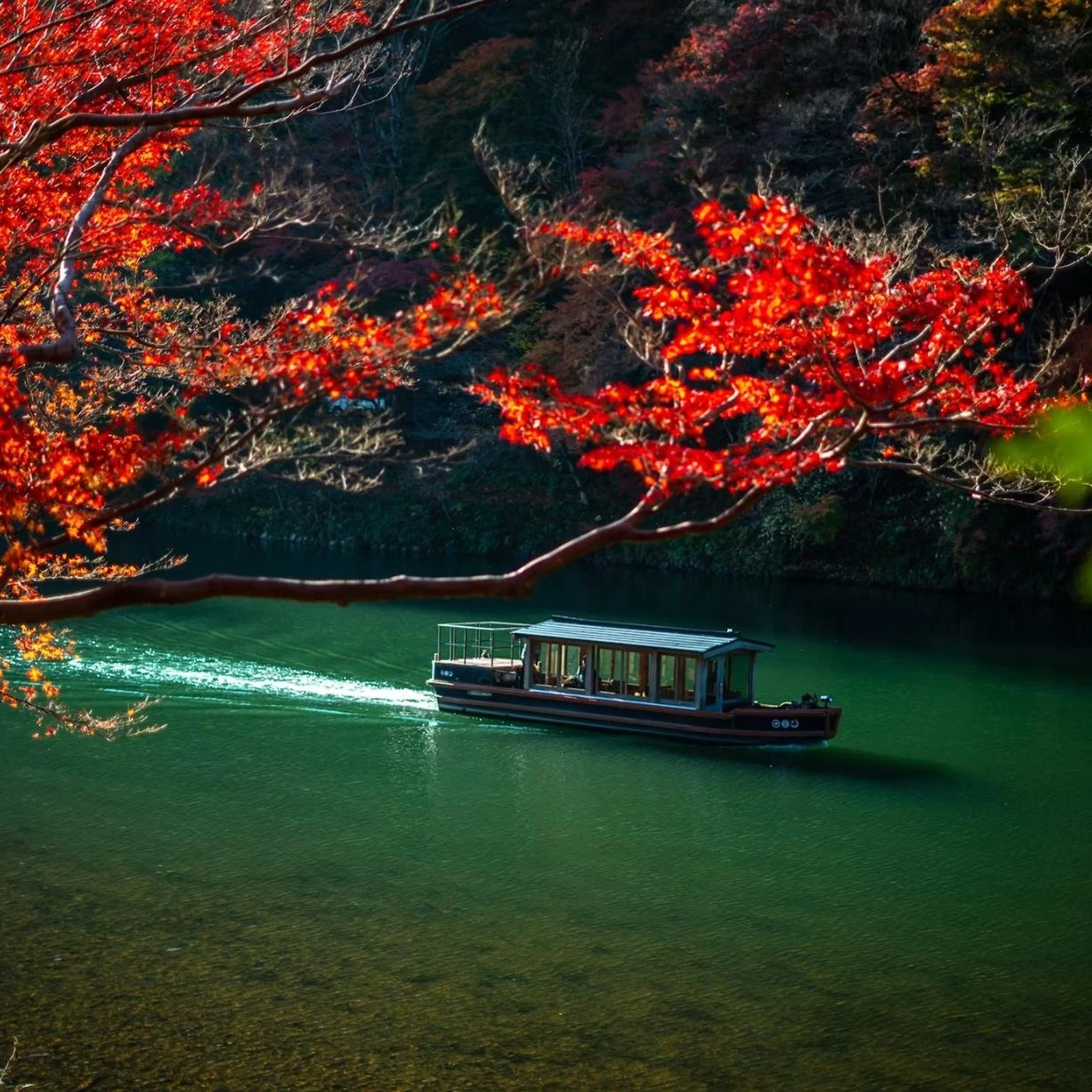 Tour guiado Arashiyama, Bosque de Bambú y Kinkaku-ji en Kioto