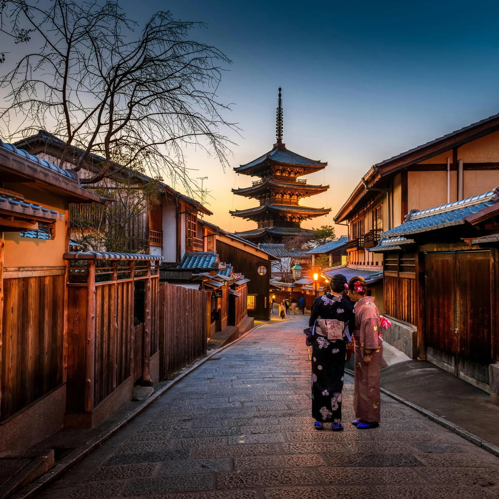 Visite privée de Kyoto avec guide anglophone et véhicule