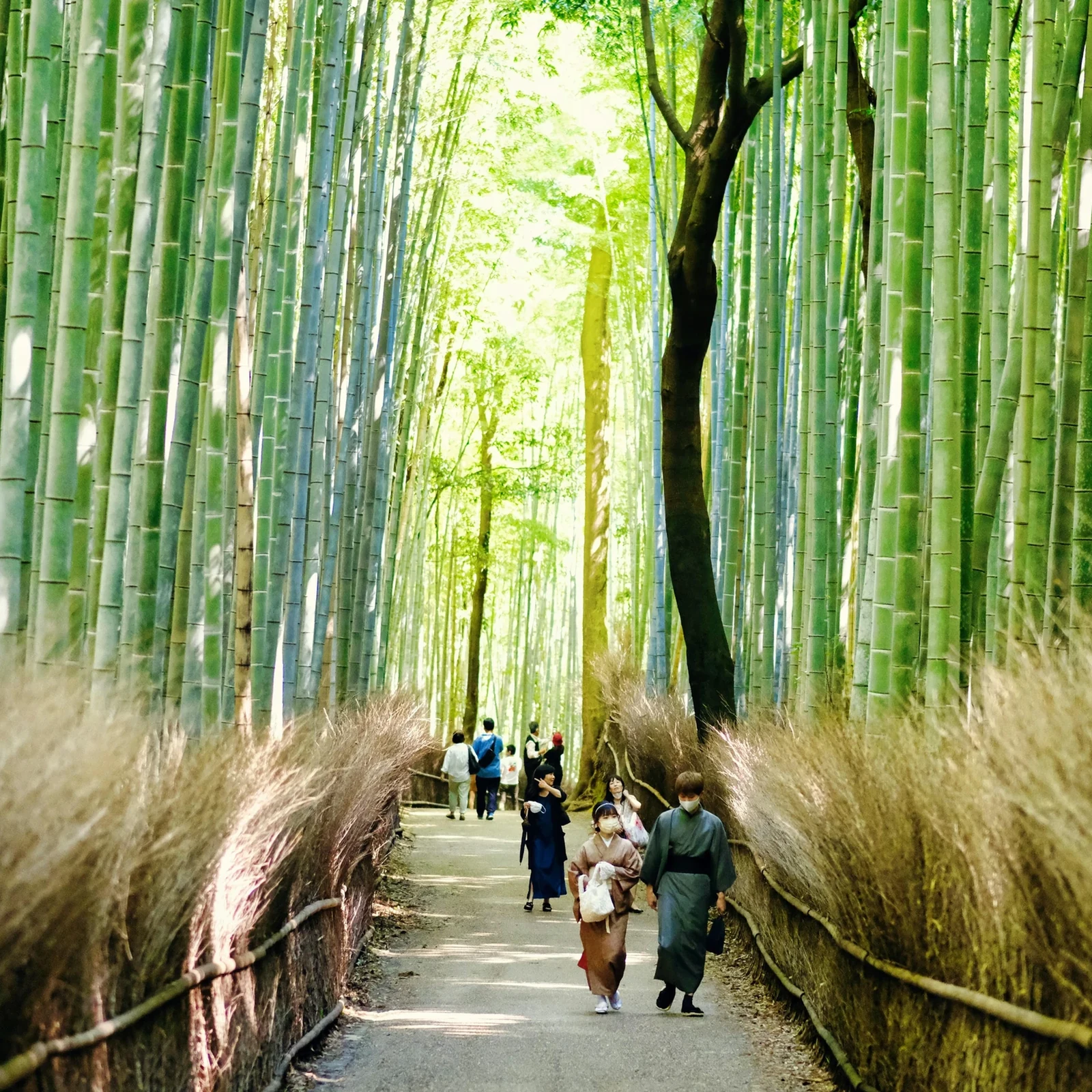 Visite privée de Kyoto avec guide anglophone et véhicule