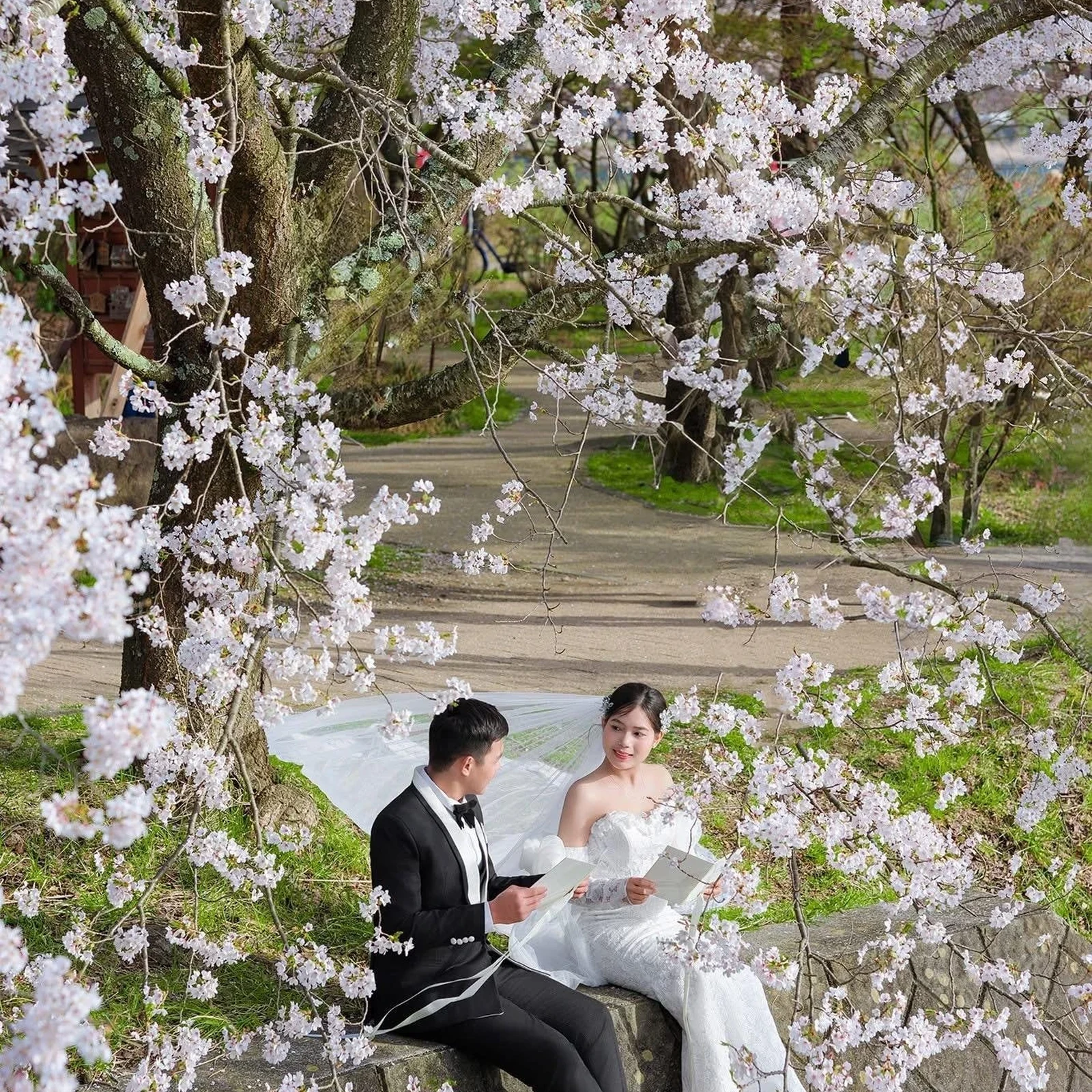 Visite photo à Kyoto avec photographe professionnel privé