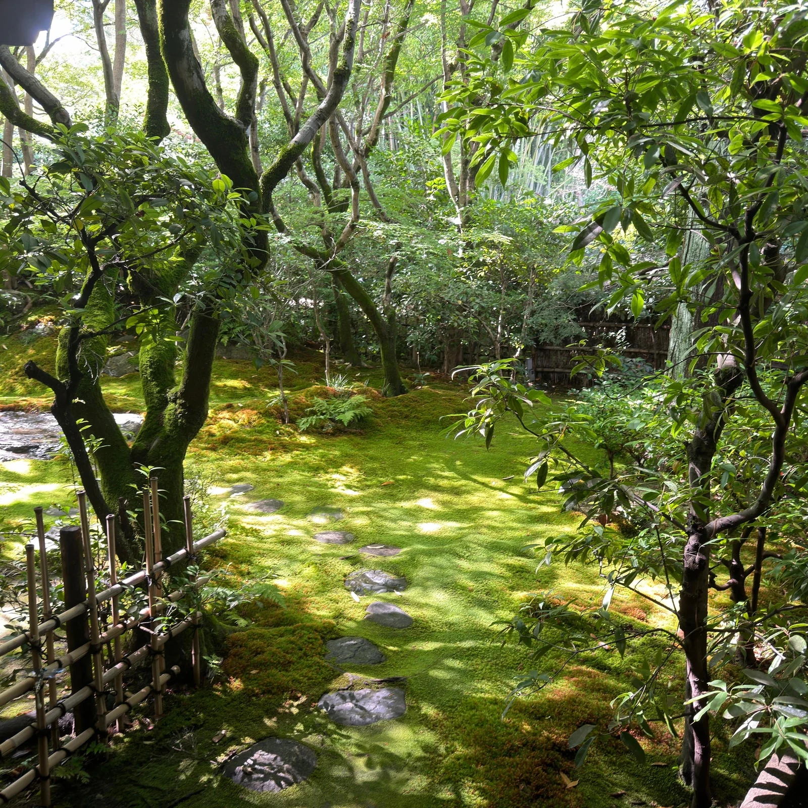 Méditation zen à Kyoto dans un temple privé avec moine