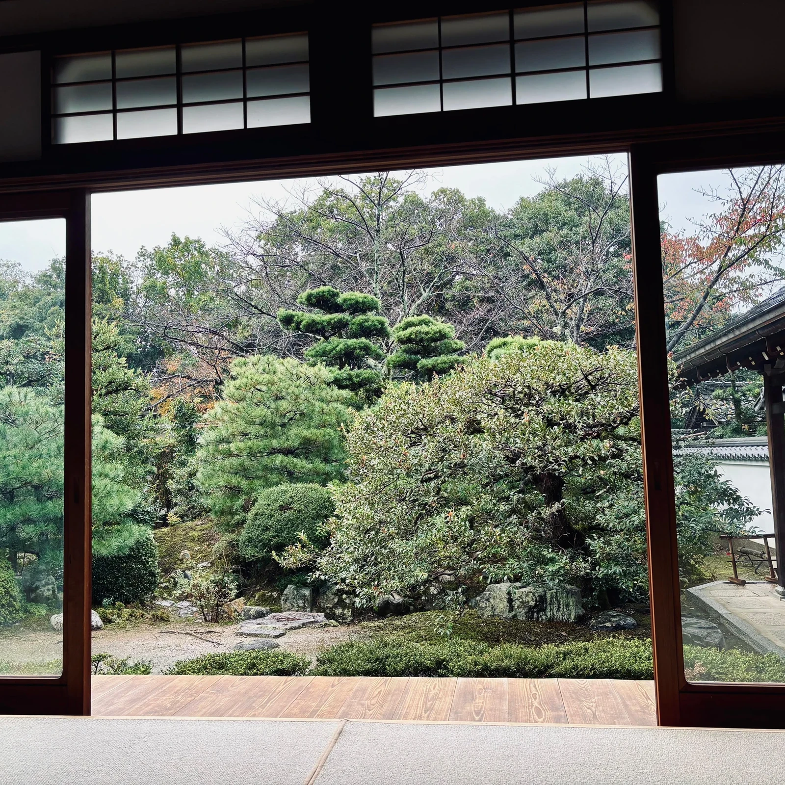 Expérience zen à Kyoto avec zazen, matcha et temple historique