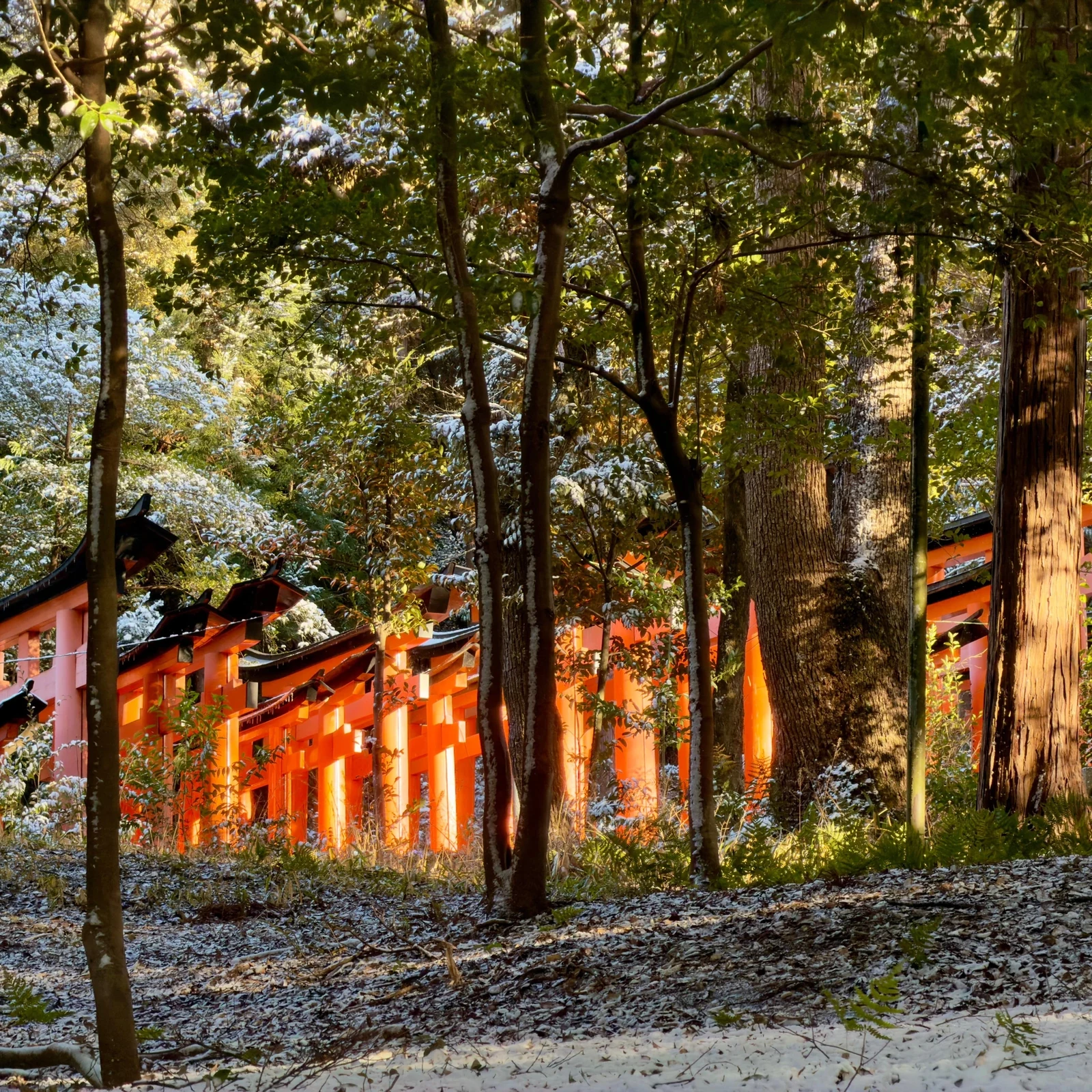 Visite privée de Kyoto avec guide et véhicule de luxe
