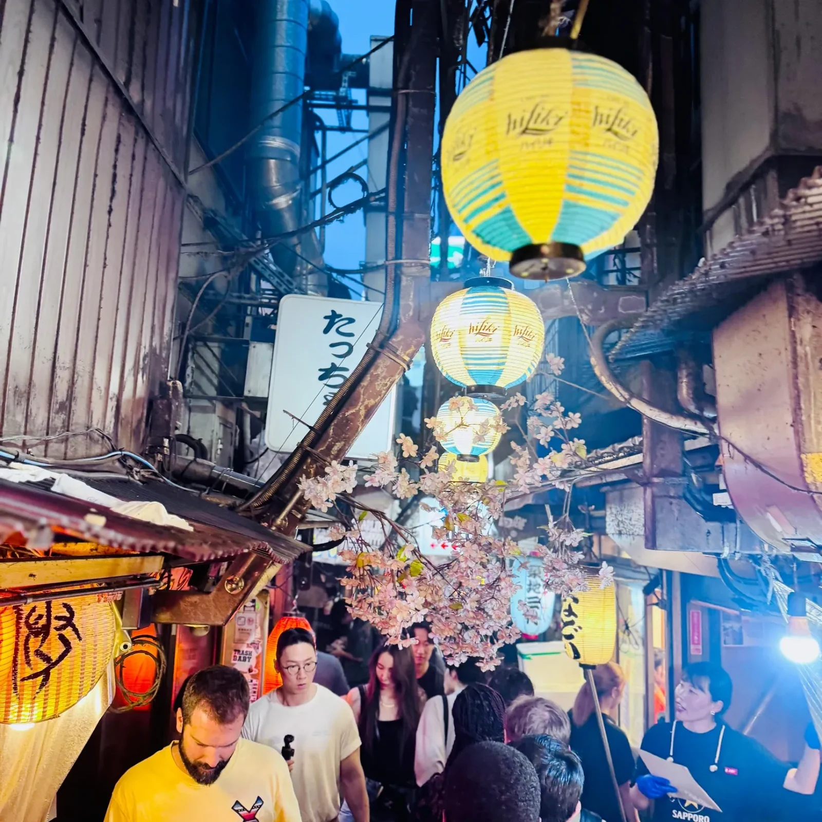 Tour gastronómico Shinjuku de noche con 13 platos japoneses